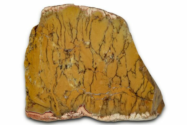 Polished Yellow Dendritic Opal Slab - Western Australia #353798